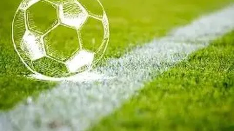 上海黄金交易所呼吁会员单位加强风险预案，确保市场稳定运行